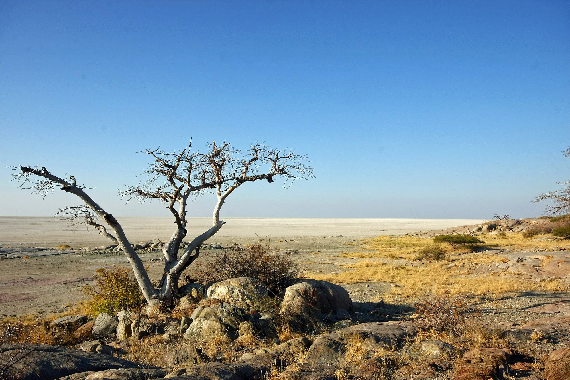 Kubu Island View